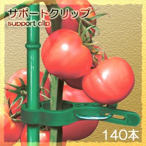 サポートクリップ（ワンタッチ茎クリップ）140本