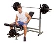 Body Solid GDIB46LP Olympic Bench Package, Includes GDIB46L, GPCA1, and GLRA81 Body Solid GDIB46LP Olympic Bench Package, Includes GDIB46L, GPCA1, and GLRA81