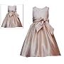 Rare Editions Girls 2T-6X CHAMPAGNE GOLD METALLIC EMBROIDERED FOIL DOT SHANTUNG Special Occasion Wedding Flower Girl Holiday Party Dress