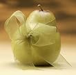 Club Pack of 24 Decorative Pear Fruits With Sheer Green Ribbon 4"