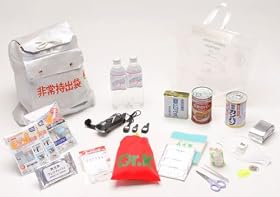 非常持出キット