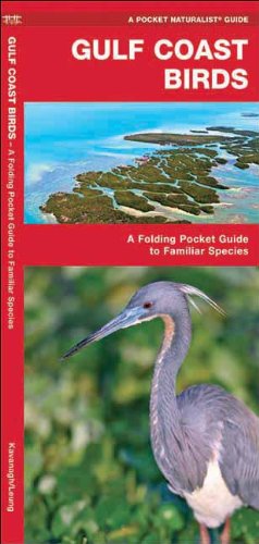 Gulf Coast Birds: A Folding Pocket Guide to Familiar Species (Pocket Naturalist Guide Series)