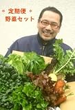 【定期便　１ヶ月分】　毎週月曜出荷　○宅急便（常温）○　「ビオファームまつき」 野菜セット！＜全４回＞　１１月２１日（月）から 11月21日
