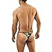 Joe Snyder Kini