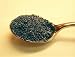 Books : Premium Poppy Seed: The Ultimate Collection of the World's Finest Poppy Seed Recipes