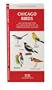 Chicago Birds: An Introduction to Familiar Species in Northeastern Illinois (US City Nature Guides)