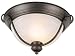 Hardware House 460154 Avalon 7-1/4-Inch by 15-1/4-Inch Ceiling Lighting Fixture Classic Bronze