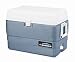 Max Cold 50 Qt Cooler
