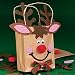 Paper Reindeer Gift Bag Craft Kit (pack of 12)