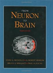 From Neuron to Brain: A Cellular and Molecular Approach to the Function of the Nervous System, Fourth Edition