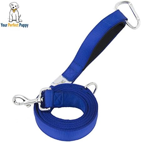 Your Perfect Leash - 2-Layer Nylon Pet Lead - 5 Colors Available - Carabiner Clip Sewn into the Padded Handle - D-ring - 20% Wider For Extra Durability -Blue