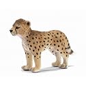 Schleich Cheetah Cub