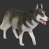 ＦＲＰアニマルオブジェ　　シベリアンハスキー犬