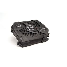 Phoenix Gold RSD300.1 300-Watt Monoblock Vehicle Amplifier