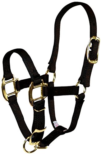 Hamilton 3/4-Inch Adjustable Quality Horse Halter, Pony or Average Miniature Donkey, Black