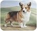 Corgi On Porch Dog Puppy Mouse Pad MousePad
