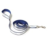 Boeing Pet Leash