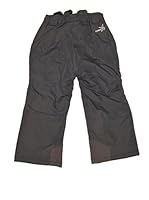SALEWA Pantalón Bering 3.0 Ptx/Pf K (Gris)