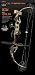 Bear Archery Outbreak Ready - to - Hunt Compound Bow Package, RLTR APG, RH 16-30/70