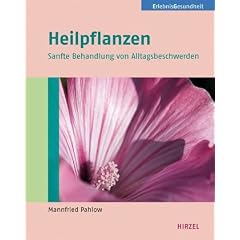 Heilpflanzen: Sanfte Behandlung von Alltagsbeschwerden