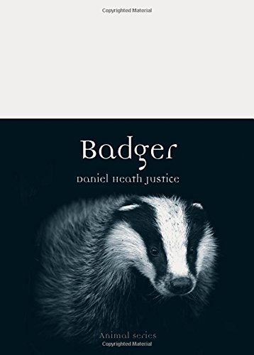 Badger (Animal)