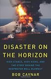 Disaster on the Horizon: High Stakes, High Risks, and the Story Behind the Deepwater Well Blowout