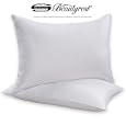 Beautyrest 300TC 100% Cotton Twin Pack Bed Pillow, King (2 Set) 28oz Fill