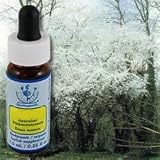 Flower Essence Healing Herb Cherry Plum Supplement Dropper -- 0.25 fl oz