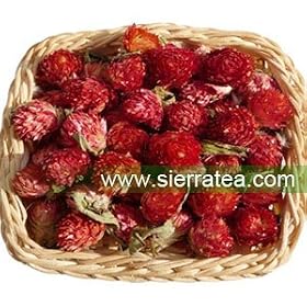 Dried Globe Amaranth Flower (Herbal Tea 100g)