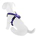 Pawtitas Reflective Dog Harness Padded Dog Harness Provides Comfort Control for a Walk or Running Great Pet Accessories Dog Vest S Small Purple Dog Harness