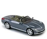 Renault Nepta (Salon de Paris 2006) in Light Grey (1:43 scale) Diecast Model Car