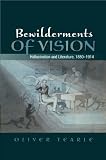 Bewilderments of vision : hallucination and literature, 1880-1914