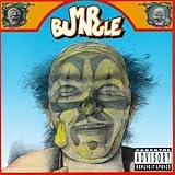 Mr Bungle