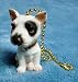 Bull Terrier Puppy Dog Fan Pull Pulls (2) Image