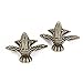 BQLZR 40x30mm Antique Bronze Corner Pad Edge Pad Decorative with Mounting Screws Pack of 4