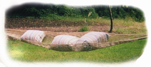 Trail Hammock