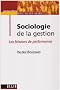 Sociologie de la gestion : Les faiseurs de performance