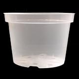 Orchid Pot - 8 inch - Rigid Clear - 10 pack