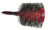 Health & Personal Care : Phillips Monster Vent Brushes [ BPMV1 ]