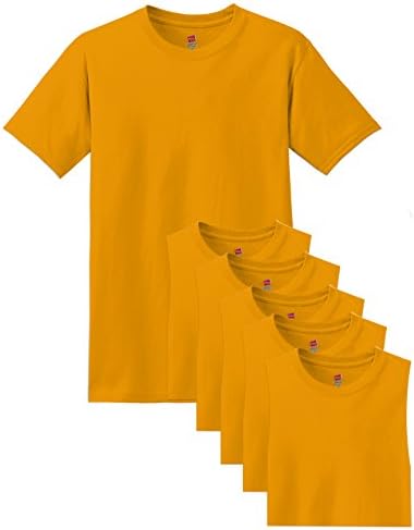 Hanes Men's Classics 6 Pack Crew Neck Tee