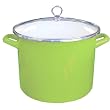 Reston Lloyd Calyoso Basics 8-Quart Stock Pot, Lime