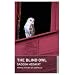 Blind Owl (Oneworld Modern Classics)