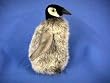 Penguin Chick Plush by Hansa