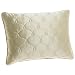 Barbara Barry Dream Silk 15-inch by 20-inch Boudoir Pillow, Champagne