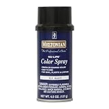Meltonian Shoe Color Spray - 615 Black