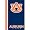 Auburn Tigers