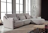 Joseph Microfiber Sectional Sofa by True Designer