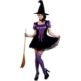 Bewitching Beauty Witch Fancy Dress Halloween Costume