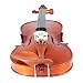 Cecilio CVN-200 Rosewood 1/2 Size Violin with Case and Accessories