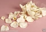 2 Ltr Ivory Real Rose Petal Preserved Flower Wedding Confetti